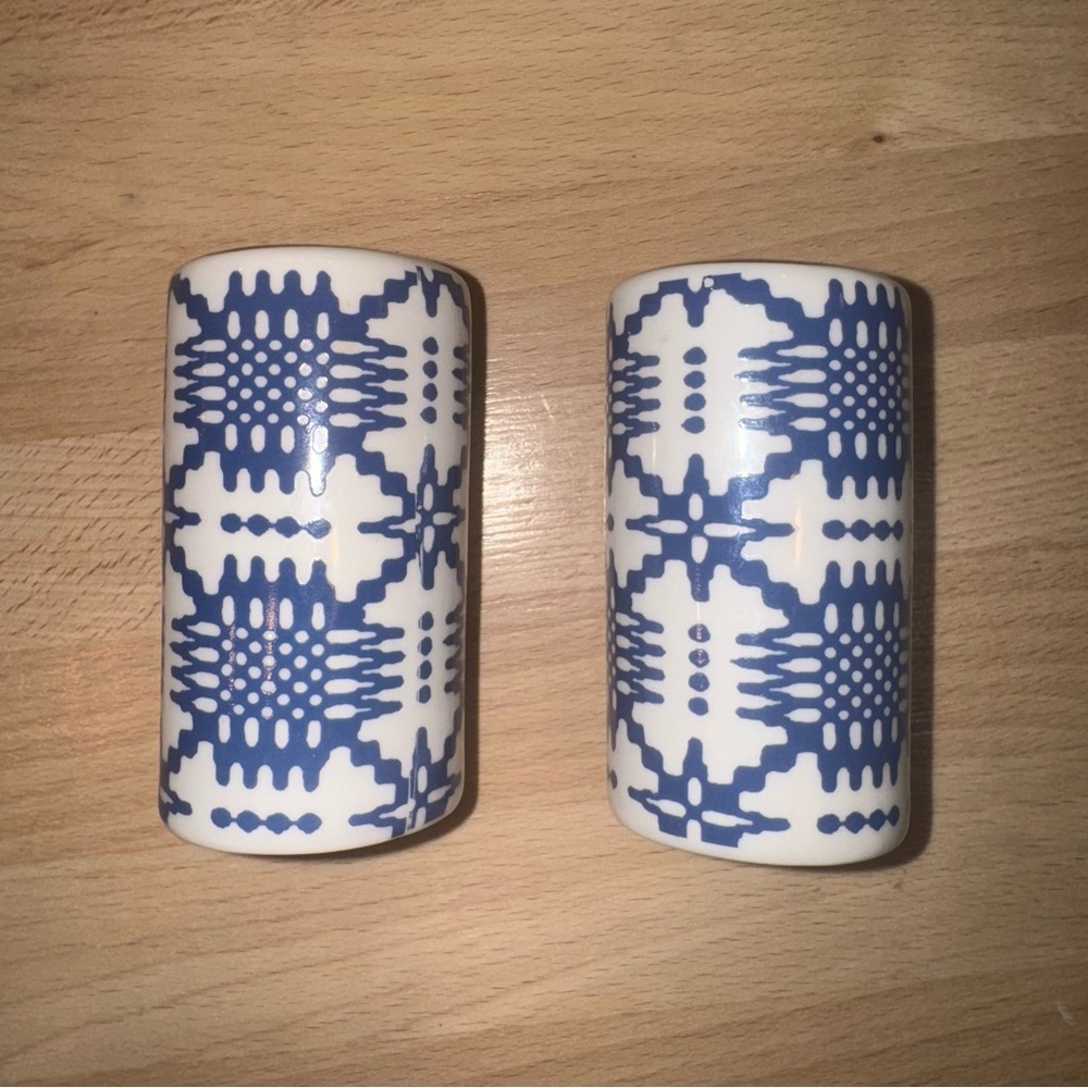 Blue and White Patterned Ceramic Salt and Pepper Shakers